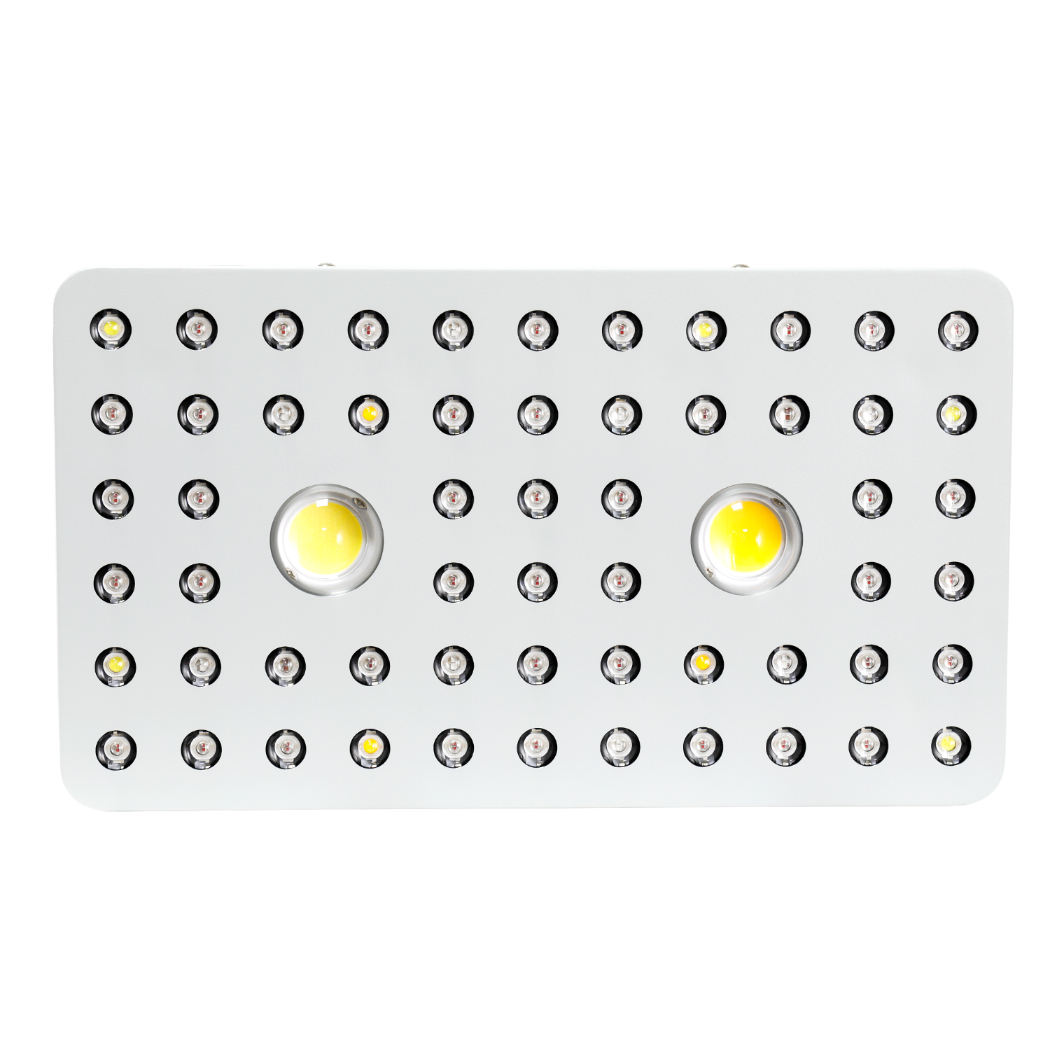 High quality COB LED Grow Lights China Manufacturer