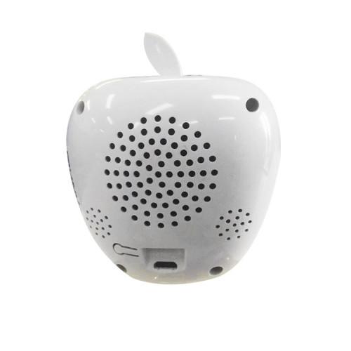 Mini Fisheye HD Wireless CCTV Camera with Monitor
