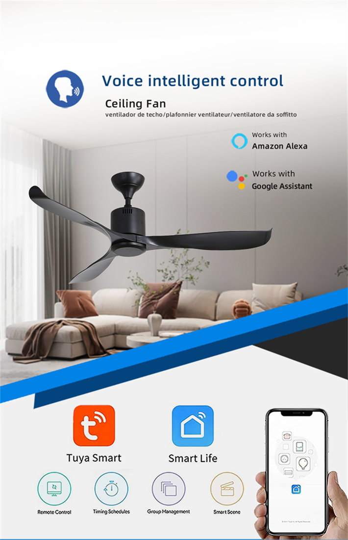 ceiling fan