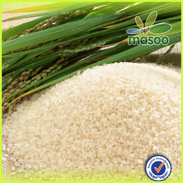 China white rice healty and green for sale
