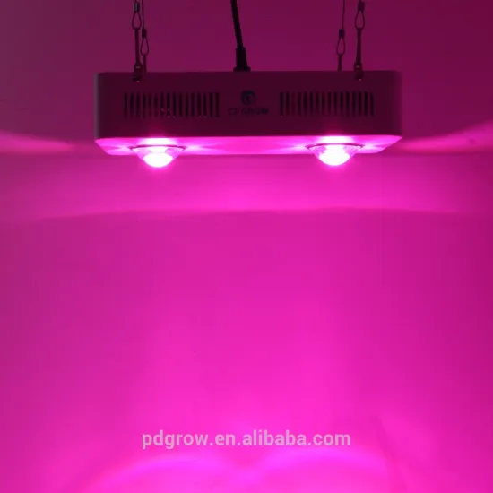 Factory Price Full Spectrum LED Grow Lights 300w 600w 900w COB Led Light