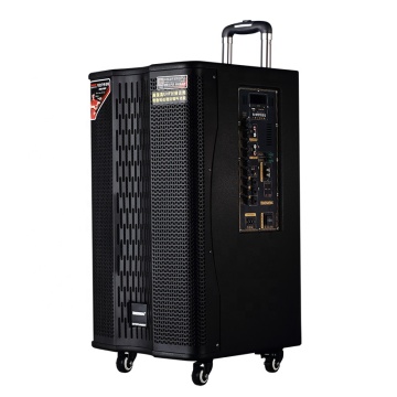 2024 HOT Sale: 12 Inch LOA with Super PMPO Power 500W - Factory Price DJ Partybox Karaoke Speaker