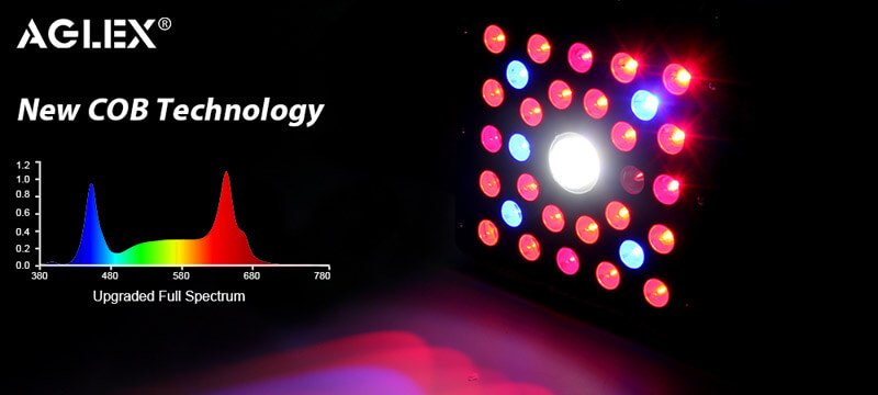 cob grow light 600w cob grow light 600w