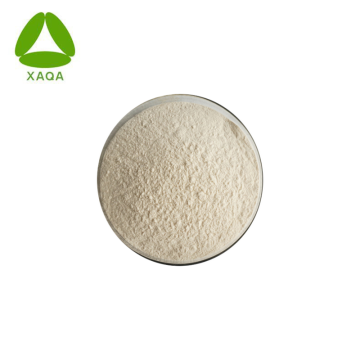 Organic Boswellia Serrata Extract Powder Bosweliic Acid