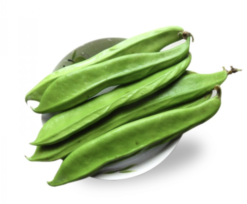 Canavalia Extract Supplier
