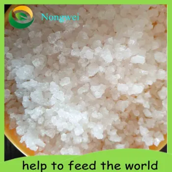 Water Absorbing Crystals For Plants To Absorb Moisture