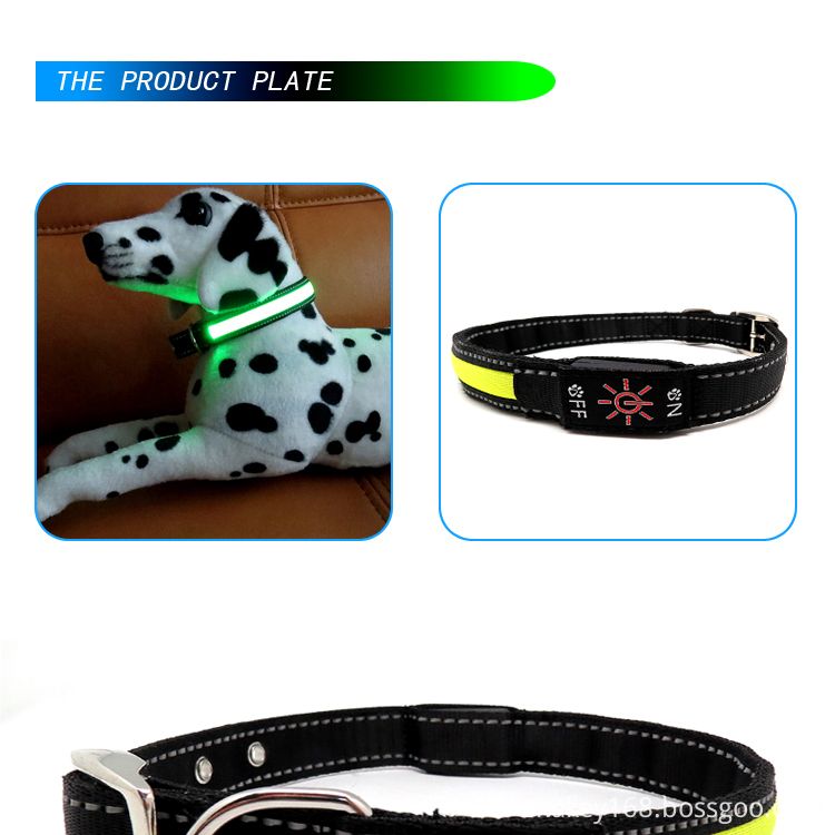 Dog Glow Collar