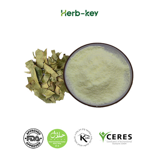 100% natural epimedium sagittatum extract icariin