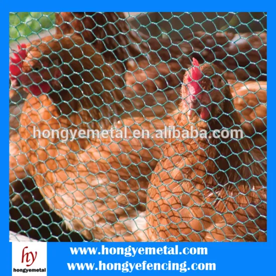 Hexagonal poultry netting/Poultry Wire Fence/23 gauge 1/2"Chicken Wire