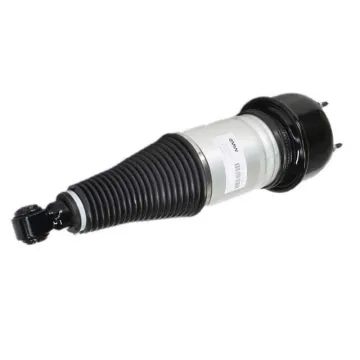 Air-Ride Rear Strut C2C41341 C2C41343 C2C41346 for Jaguar XJ60 2004-2010 Air Suspension