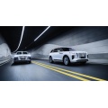 Pure electric new energy vehicle hongqi e-hs9
