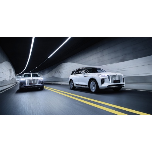 Pure electric new energy vehicle hongqi e-hs9
