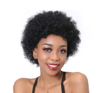 Wholesale Afro Kinky Curly Hair Wigs Short Hair Wigs Brazilian Remy Human Hair Wigs Natural Color For Black Women