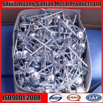 Umbrella head galvanized twisted shank roofing nail BWG9X2.5"