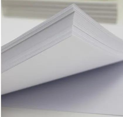 Prochema Post Card 450um Non-tearable PP Synthetic Paper