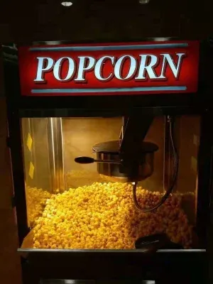 Wholesale Stainless Steel Electric Industrial Popcorn Machine Price with CE Certificate