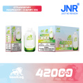 JNR LION KING 42K – 42000 Puffs Einweg-Vaporizer