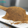 Extrait de champignon Maitake Powder Grifola Frondosa Extrait