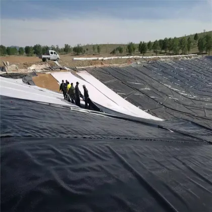 HDPE Geomembrane Technologies an Evoqua Brand