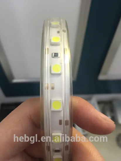 Factory price 12v led strips 30leds/m 5050 smd led strip light IP65 led string light with adhesive tape