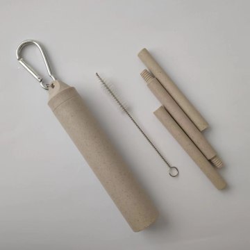 Collapsible Drinking Straw with Case and Carabiner