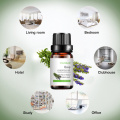 Water-Soluble Hyssop Essential Oils For Cosmetic Beauty