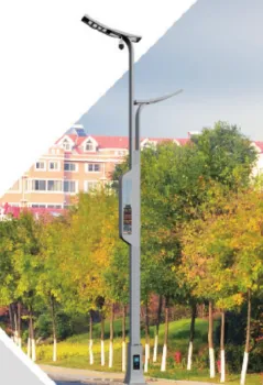 Smart Battery Solar Street Light