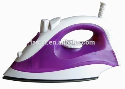 Electric Steam Iron