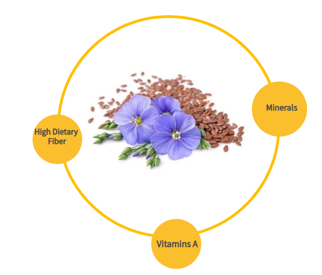 Flax Seed Powder Ingredients