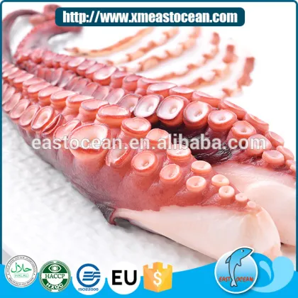 Xiamen manufacture frozen boiled octopus delicious custom fish fillet