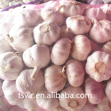 food grade china fresh garlic