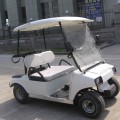 CE 2 koltuk akülü elektrikli golf arabası