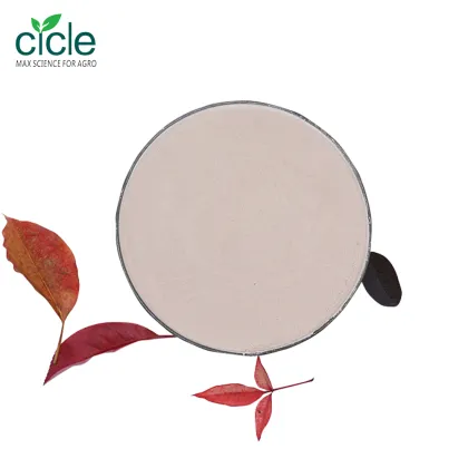 Amino ECO Amino Acid Powder