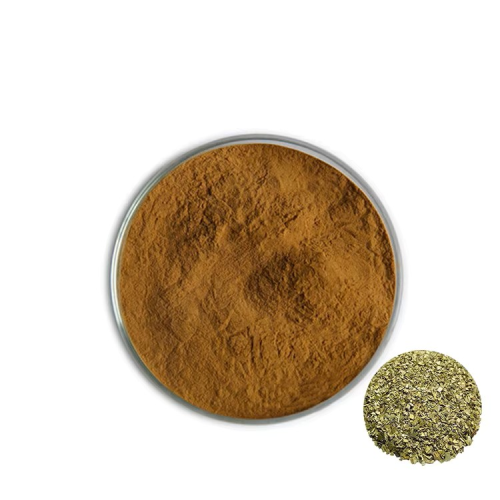 High Quality Mate Tea Extract