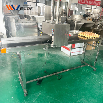 CE Approved Egg Tray Printer for Expiry Date Printing