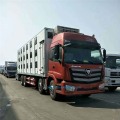 Foton 8x4 Pig carrier vehicles