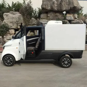 a New Type of Four Wheel Double Seat Lithium Battery Electric Car for Adult Driving Coc Electric Mini Van China Electric Car EEC