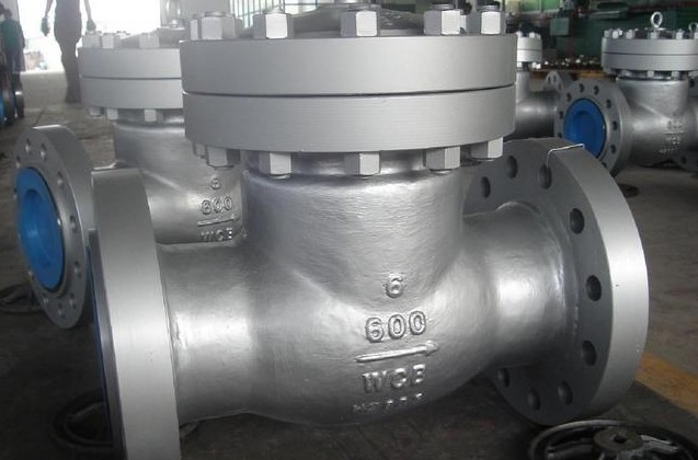 Professional Manufacturer of Check Valve