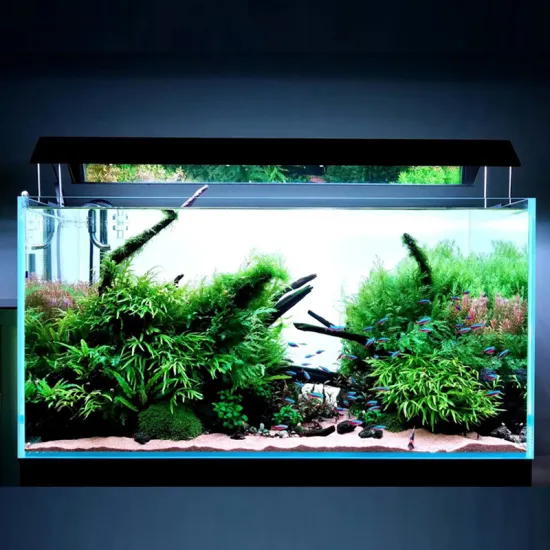 Customizable LED Aquarium Backlight Fish Tank