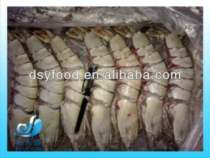 FROZEN BROWN TIGER PRAWN/TIGER SHRIMP