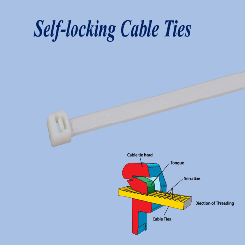 Urine Bag Cable Zip Ties