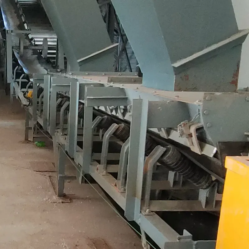 Customized Belt Conveyors for Power, Metallurgy, Chemical, and Mining Industries