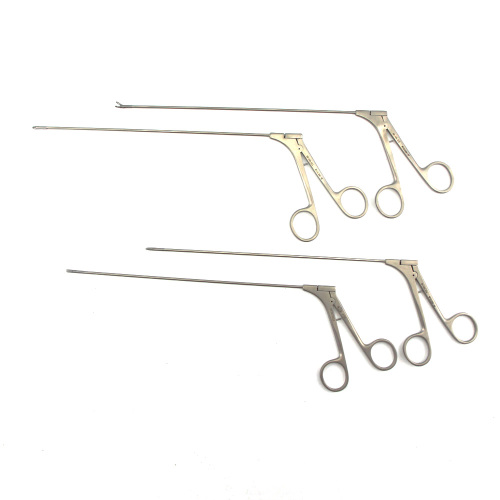 Endoscope rigide
