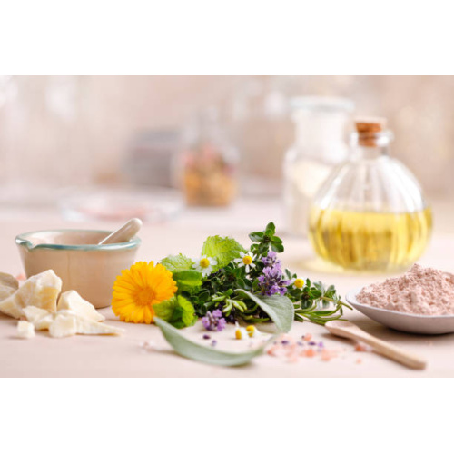 Mentha Extract Concentrate: Ideal for Beverages and Desserts