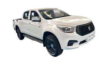 Camionnette Qingling Taga