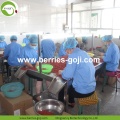 Approvisionnement en usine Fruit Premium High Standard Goji Baies