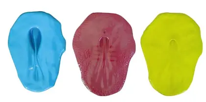 Three germ layer model