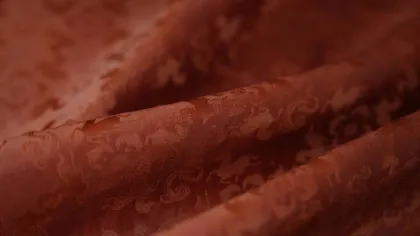 Opening of the Western Regions Mulberry Silk