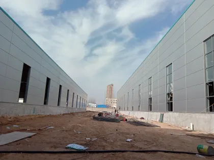 Qingtian Weiye Manufacturing Plant Project
