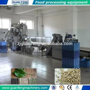 Quality warranted good price pepper processing line